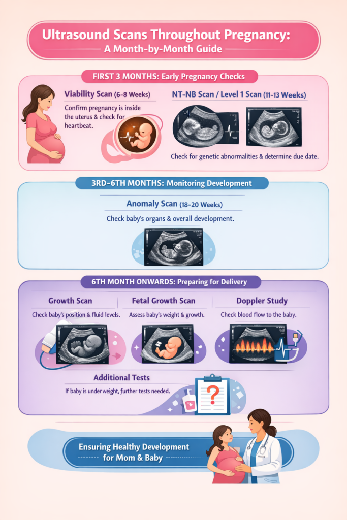trimester wise pregnancy scans
